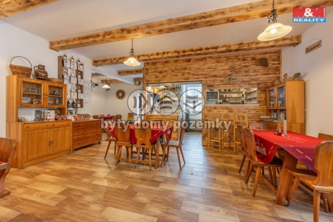 Prodej, Hotel, penzion, Benešov nad Černou