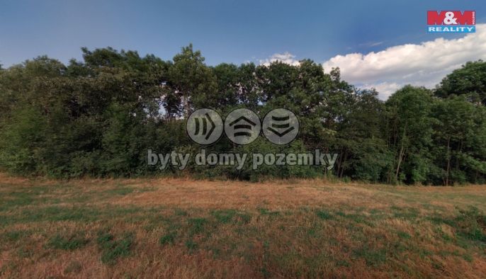 Prodej, Les, Lipová