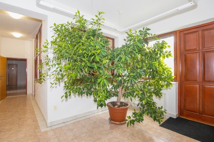 Prodej, Kancelářský prostor, Letovice