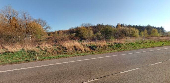 Prodej, Komerční pozemky, Dřevěnice