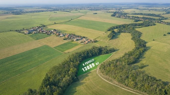 Prodej, Louka, Čistá