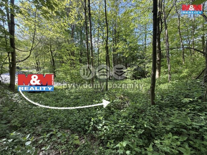 Prodej, Ostatní, Červená Voda