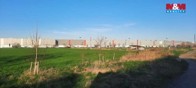 Prodej, Pole, Olomouc