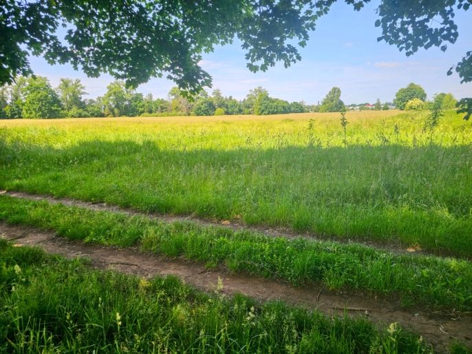 Prodej, Louka, Hradec Králové