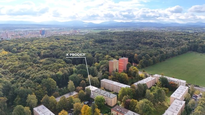 Prodej, Byt 2+1, Ostrava