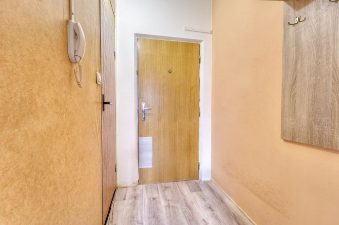 Pronájem, Byt 1+1, Plzeň