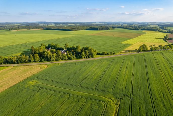 Prodej, Pole, Vodňany