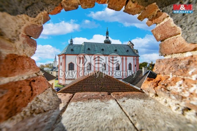 Prodej, Zemědělská usedlost, Bor