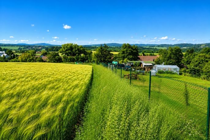 Prodej, Zahrada, Chabeřice