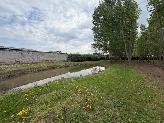 Prodej, Zahrada, Otvice