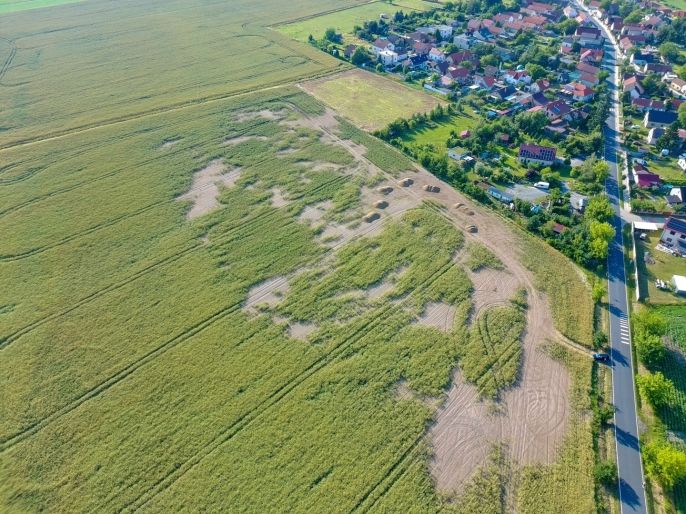 Prodej, Pole, Ratenice
