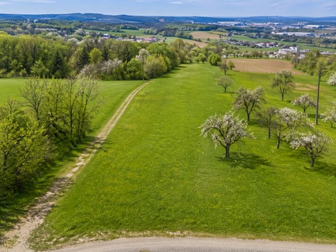 Prodej, Pozemek k bydlení, Třinec