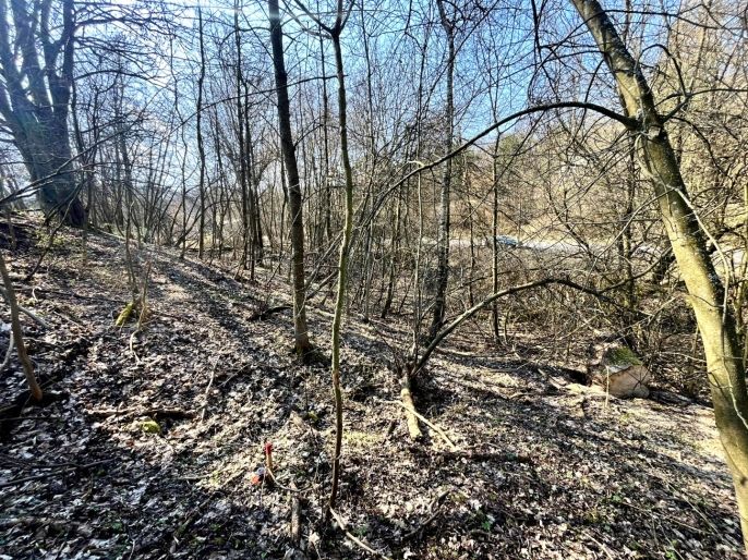 Prodej, Pozemek k bydlení, Heřmanov