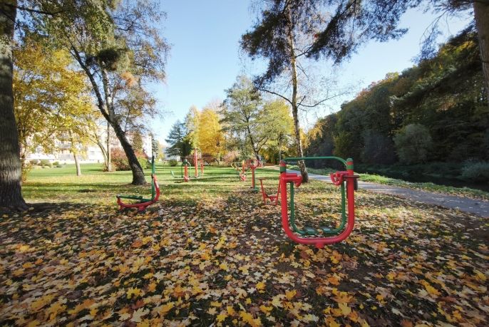 Prodej, Byt 2+1, Světlá nad Sázavou