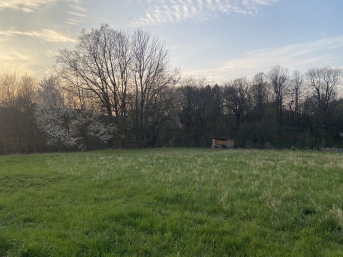 Prodej, Pozemek k bydlení, Dobruška