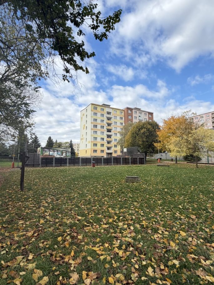 Pronájem, Byt 3+1, Rakovník