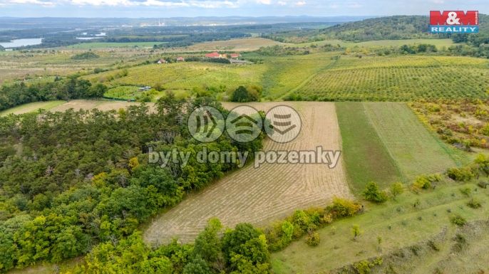 Prodej, Pole, Roudnice nad Labem