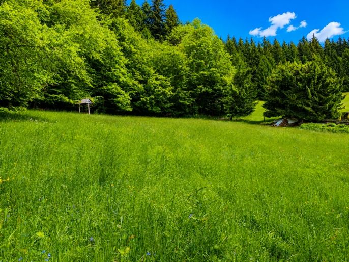 Prodej, Pozemek k bydlení, Vysoká nad Kysucou