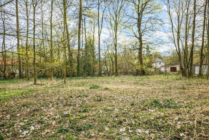 Prodej, Zahrada, Kořenice