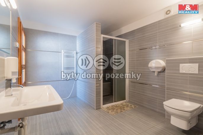 Prodej, Hotel, penzion, Blažejov