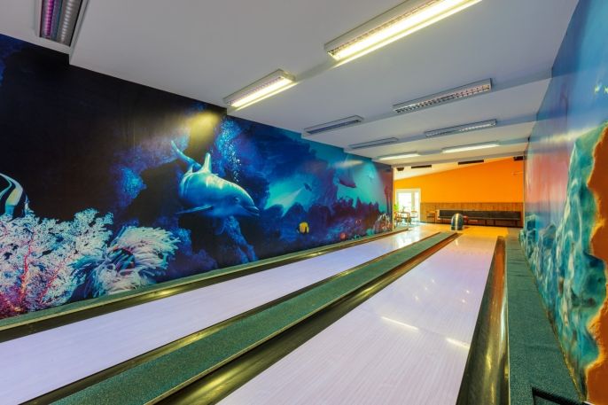 Prodej, Hotel, penzion, Chodov