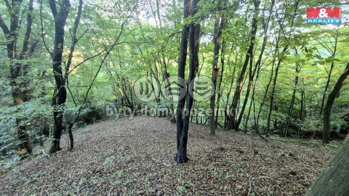 Prodej, Chata, Zbečno