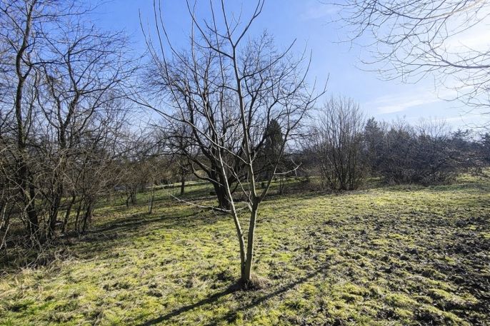 Prodej, Pozemek k bydlení, Rychvald