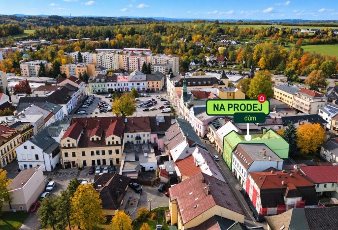 Prodej, Obchod a služby, Rychnov nad Kněžnou