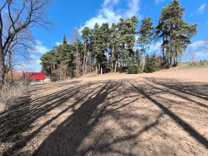 Prodej, Zahrada, Radošovice