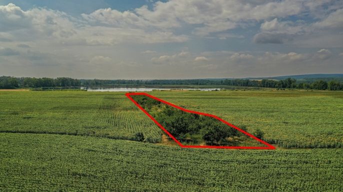 Prodej, Ovocný sad, Zaječí