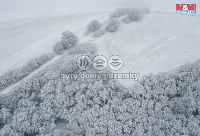 Prodej, Pole, Všestudy