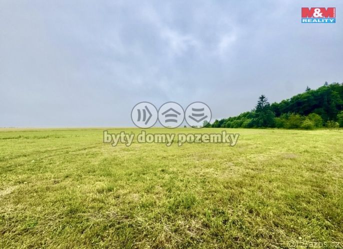 Prodej, Louka, Buková