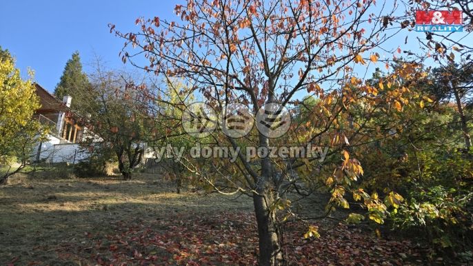 Pronájem, Zahrada, Ústí nad Labem