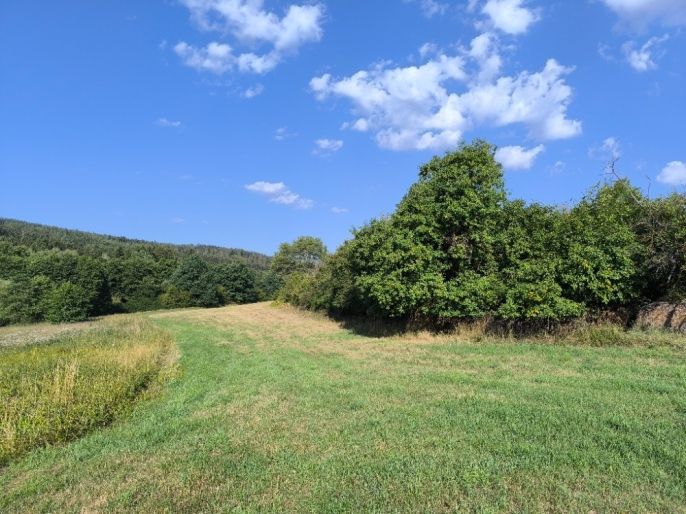 Prodej, Louka, Hoslovice