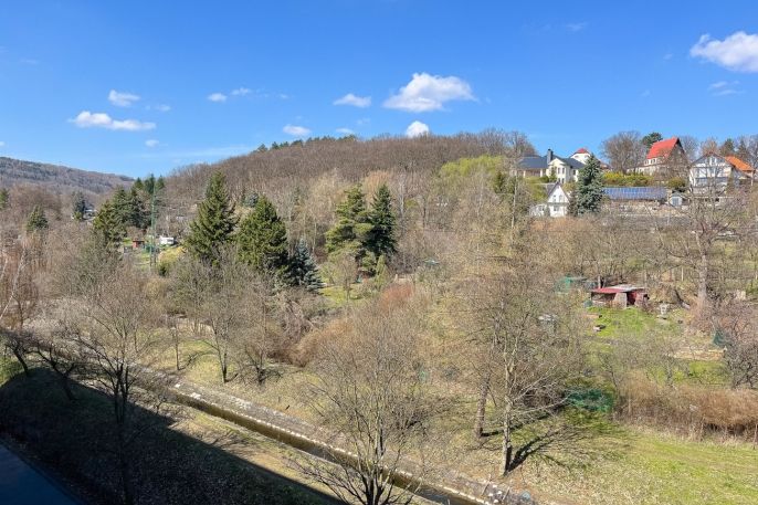 Prodej, Byt 3+1, Chomutov