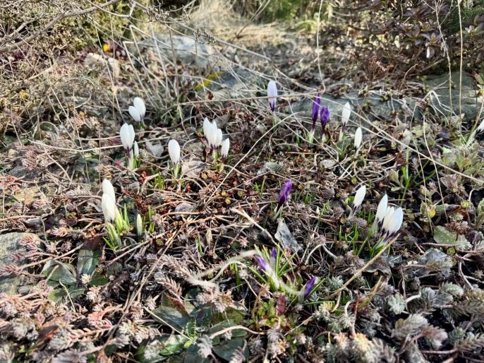 Prodej, Rodinný dům, Světnov