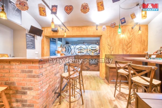 Pronájem, Obchod a služby, Plzeň