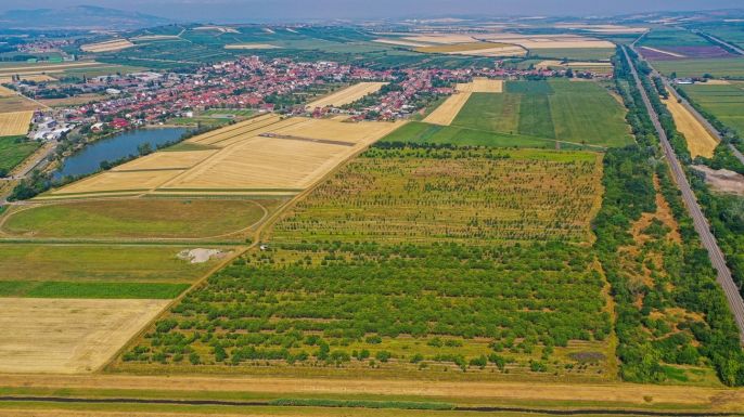 Prodej, Ovocný sad, Rakvice