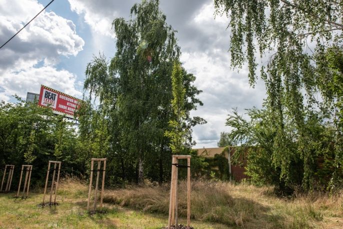 Pronájem, Zahrada, Pardubice