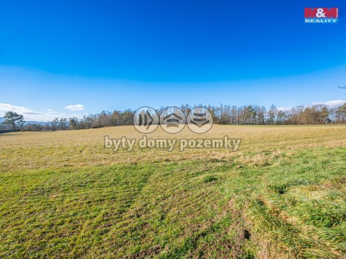 Prodej, Louka, Benešov