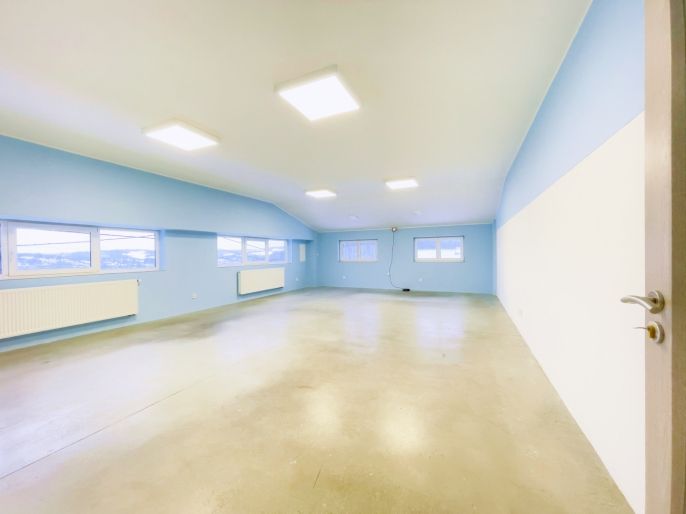 Pronájem, Výrobní objekt, Vizovice