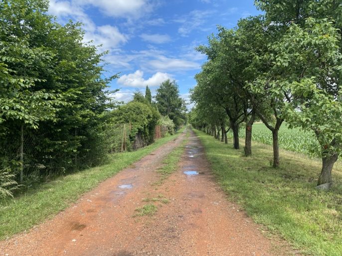 Prodej, Zahrada, Dobruška