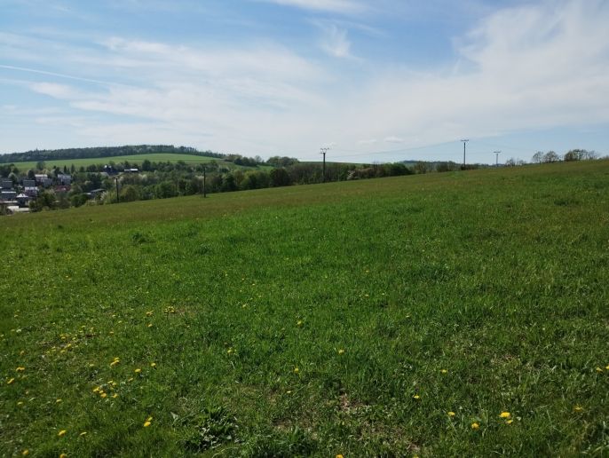 Prodej, Pozemek k bydlení, 4600 m², Bílovec