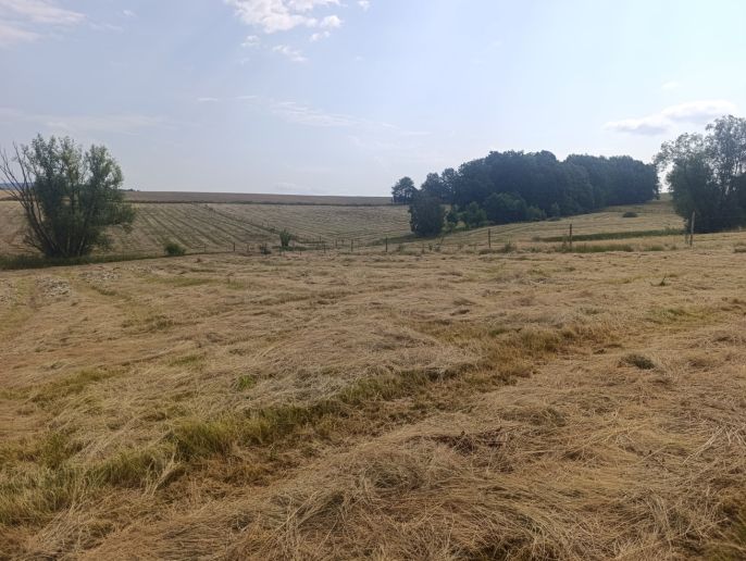 Pronájem, Sklad, Hrádek nad Nisou
