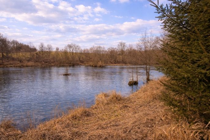 Prodej, Vodní plocha, Křečovice