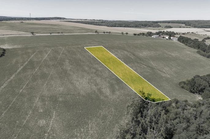 Prodej, Pole, Louňová