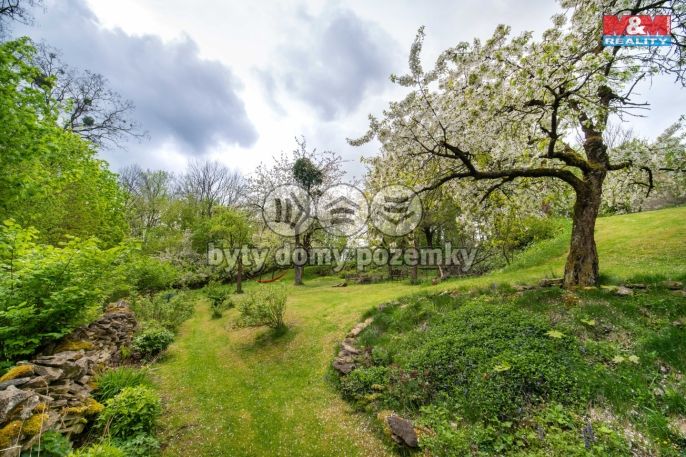 Prodej, Zemědělská usedlost, Čistá