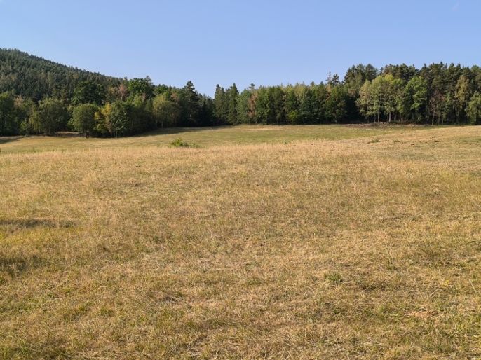 Prodej, Louka, Hoslovice