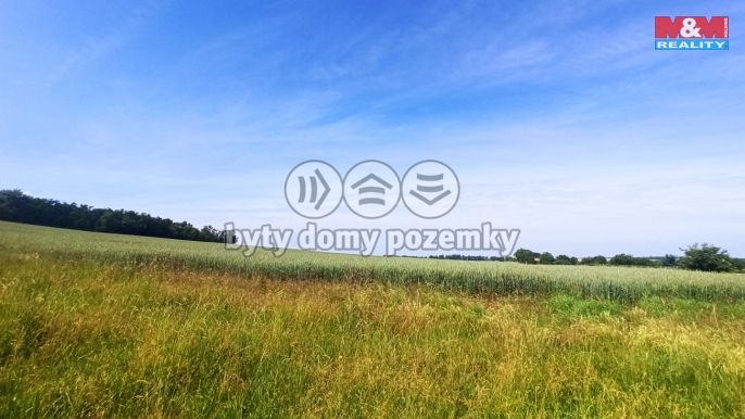 Prodej, Pole, Měnín