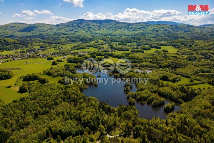 Prodej, Hotel, penzion, Černá Voda